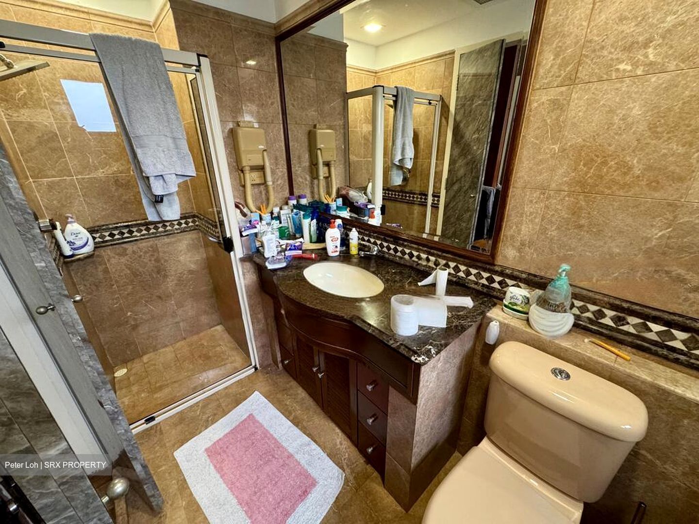 Dover Parkview (D5), Condominium #453294901